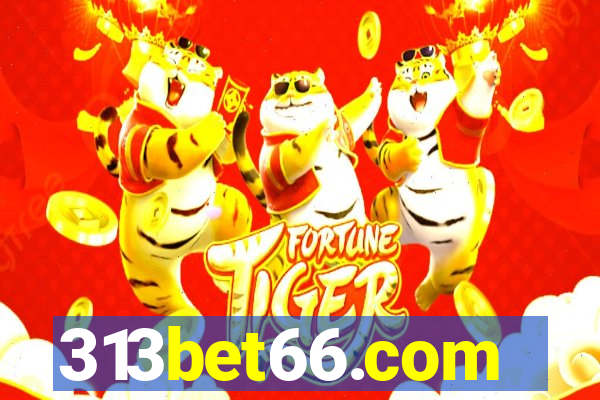 313bet66.com