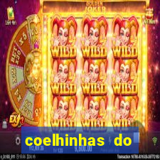 coelhinhas do brasil site