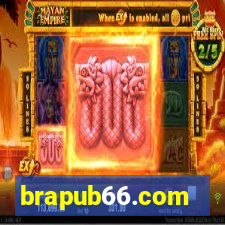 brapub66.com