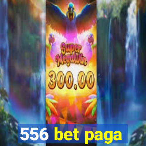 556 bet paga