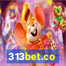 313bet.co