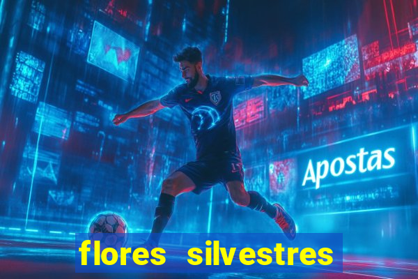 flores silvestres desbravadores desbravadores 25