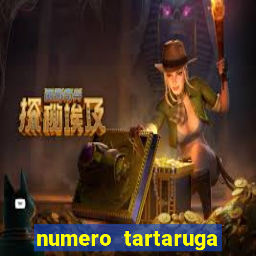 numero tartaruga jogo do bicho