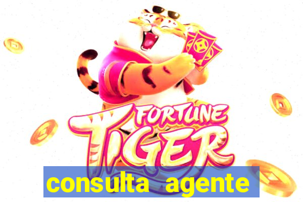 consulta agente autuador sp