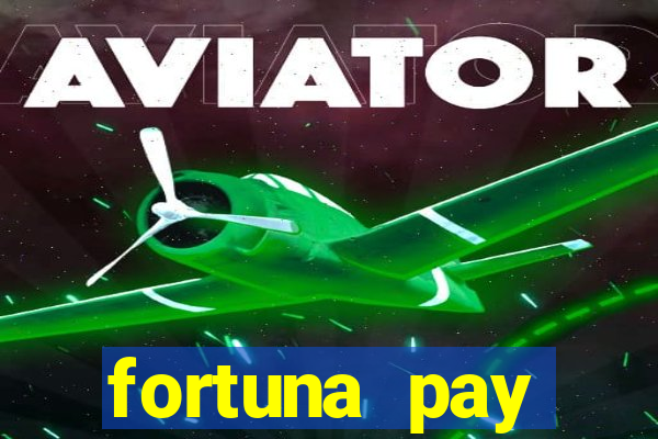 fortuna pay consultoria financeira ltda