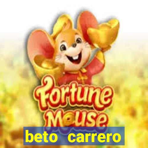 beto carrero cidades proximas