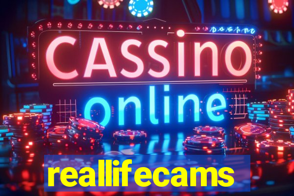 reallifecams