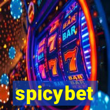 spicybet-4.com