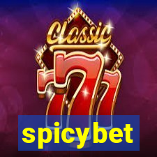 spicybet-4.com