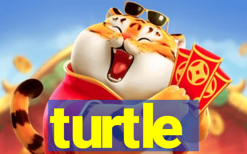 turtle-ty.com