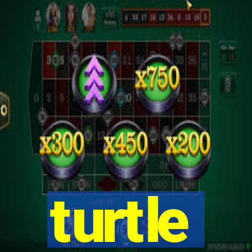 turtle-ty.com